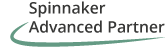 Spinnaker Advanced Partner SAP support